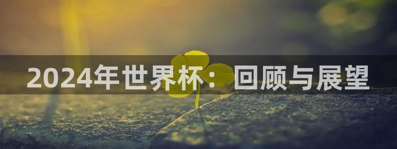 世界杯预选赛欧洲区赛程:2024年世界杯:回顾与展望