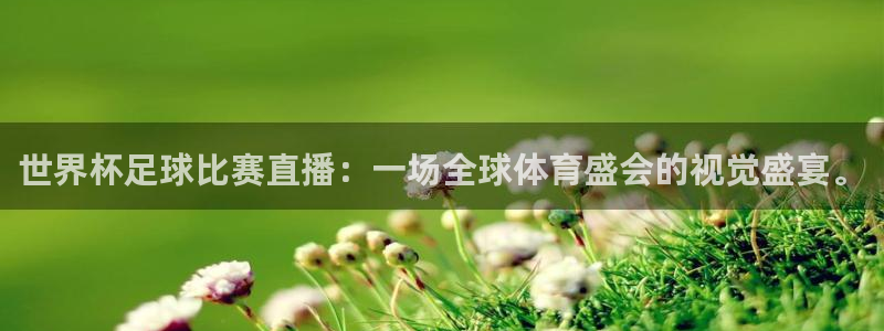 世界杯直播时间:世界杯足球比赛直播:一场全球体育盛会的视觉盛宴。