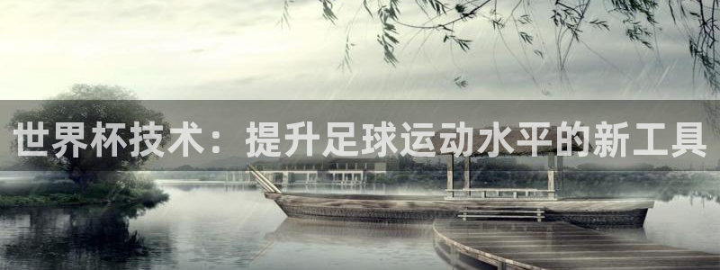 2026世界杯32强对阵图表:世界杯技术:提升足球运动水平的新工具
