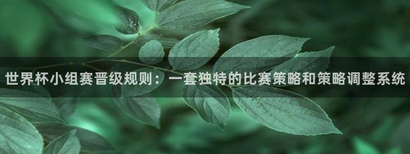 世界杯直播网站:世界杯小组赛晋级规则:一套独特的比赛策略和策略调整系统