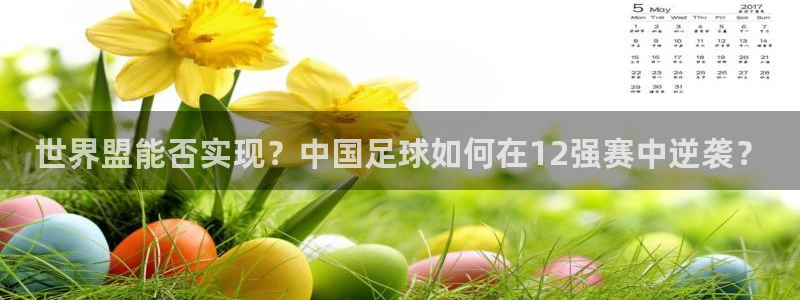 女足世界杯直播:世界盟能否实现?中国足球如何在12强赛中逆袭?